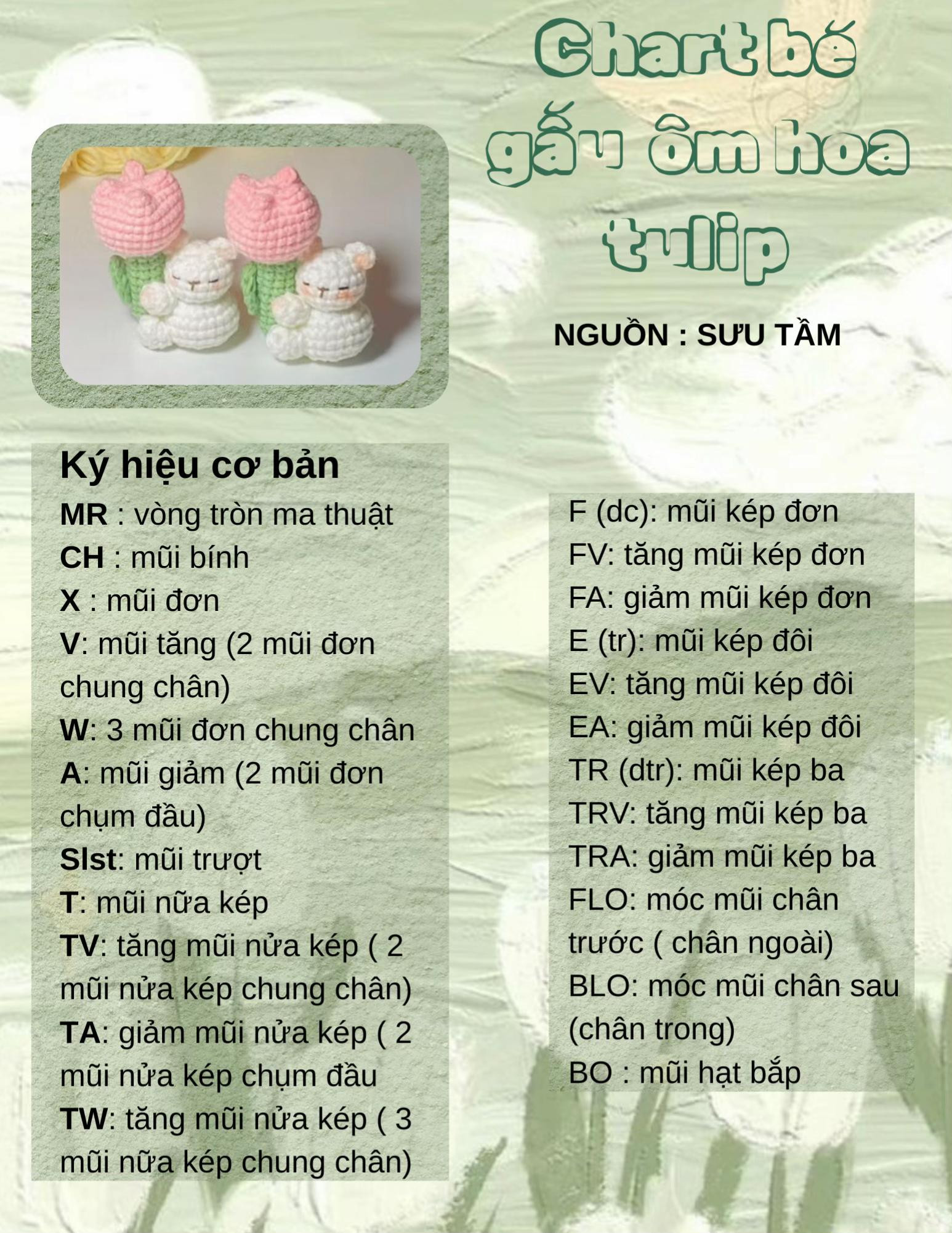 Chart bé gấu ôm cây hoa tulip