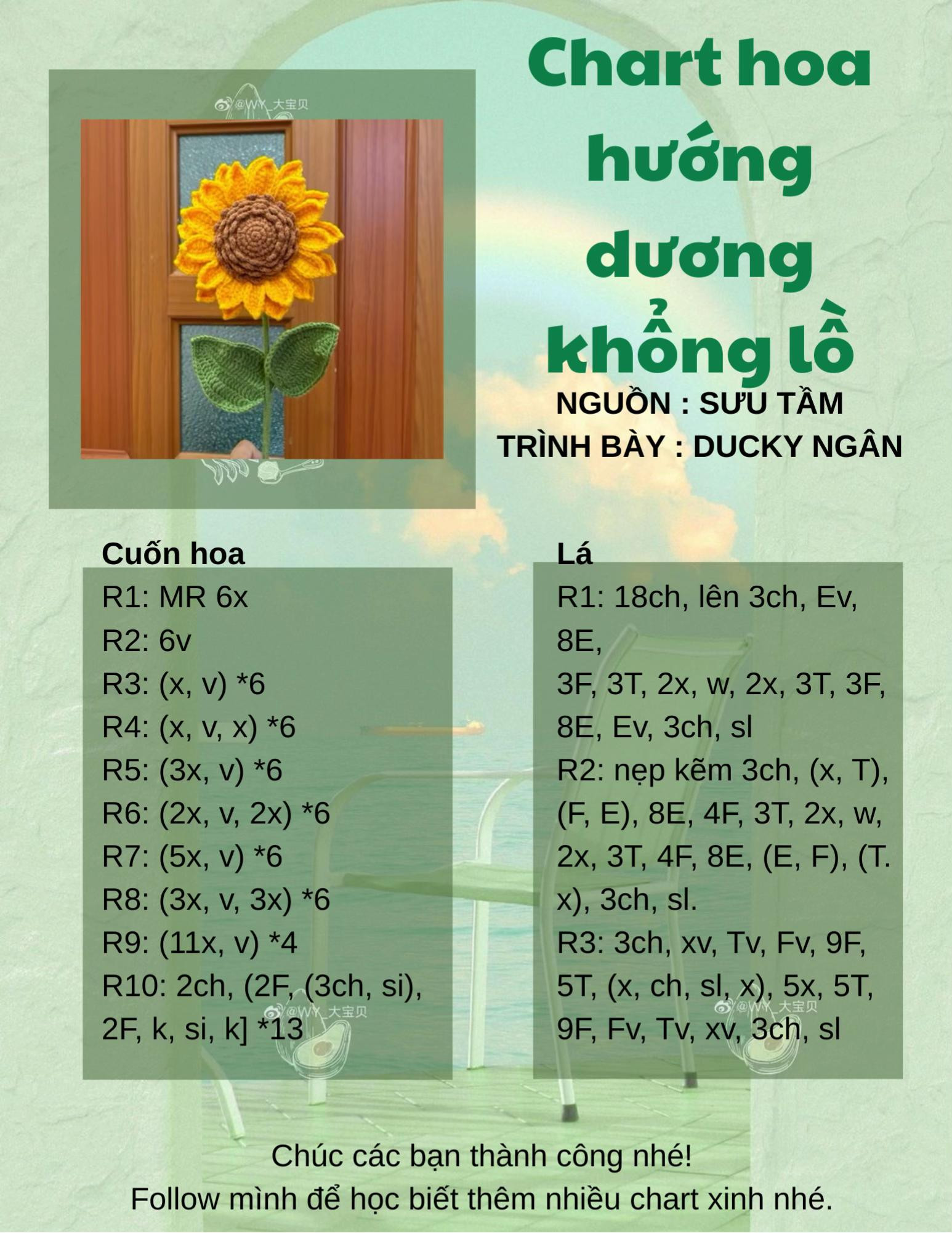 Chart hoa hướng dương siêu to
