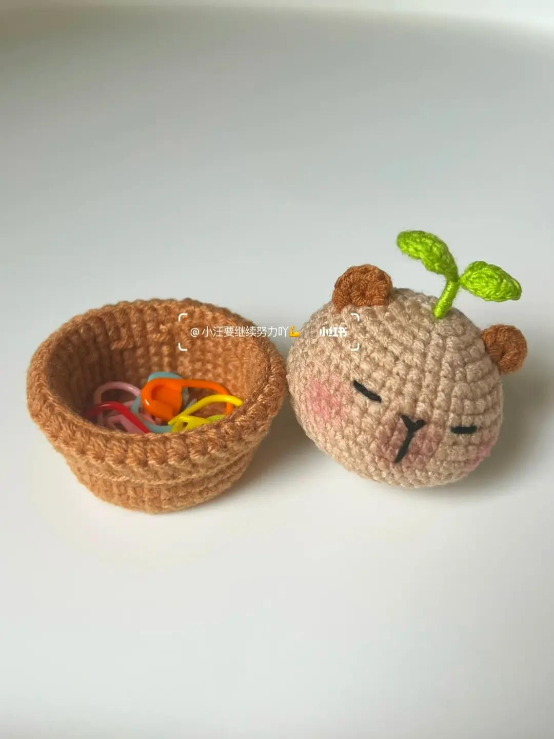 chart móc chậu cây capybara