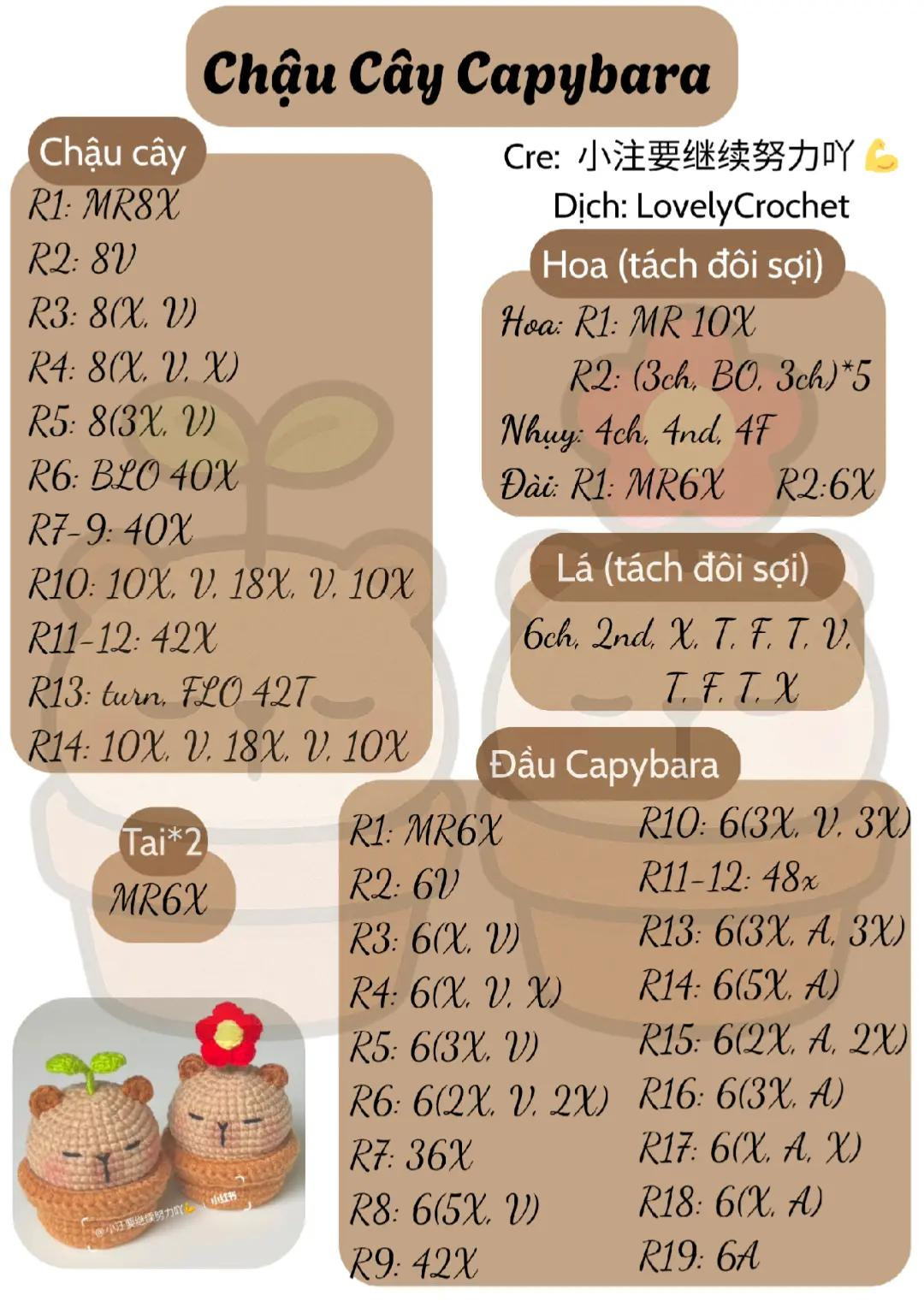 chart móc chậu cây capybara