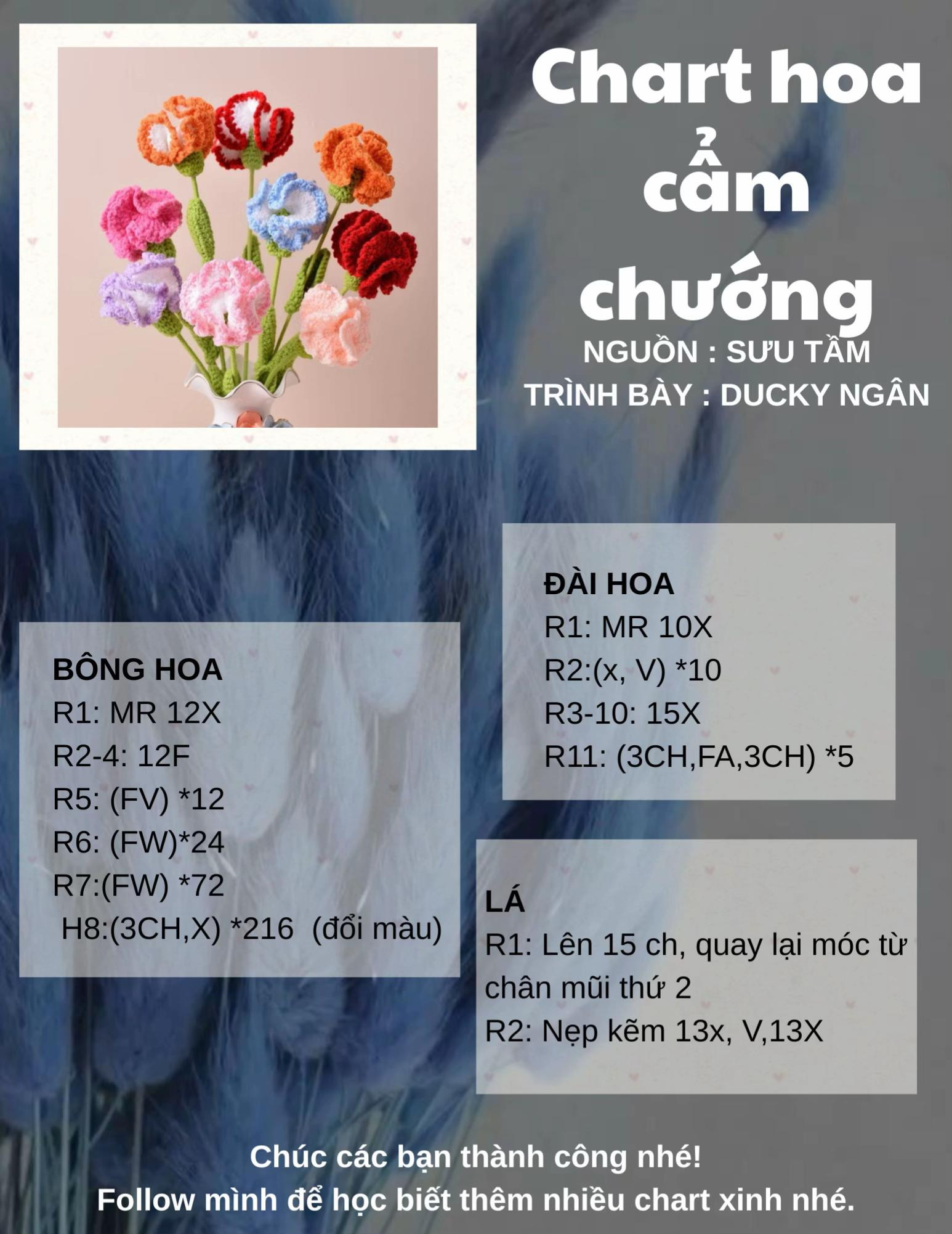 Chart móc hoa cẩm chướng nhiều màu sắc