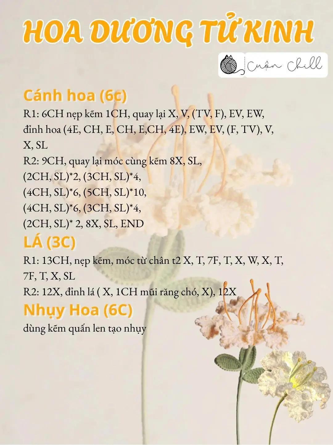 chart móc hoa dương tử kinh