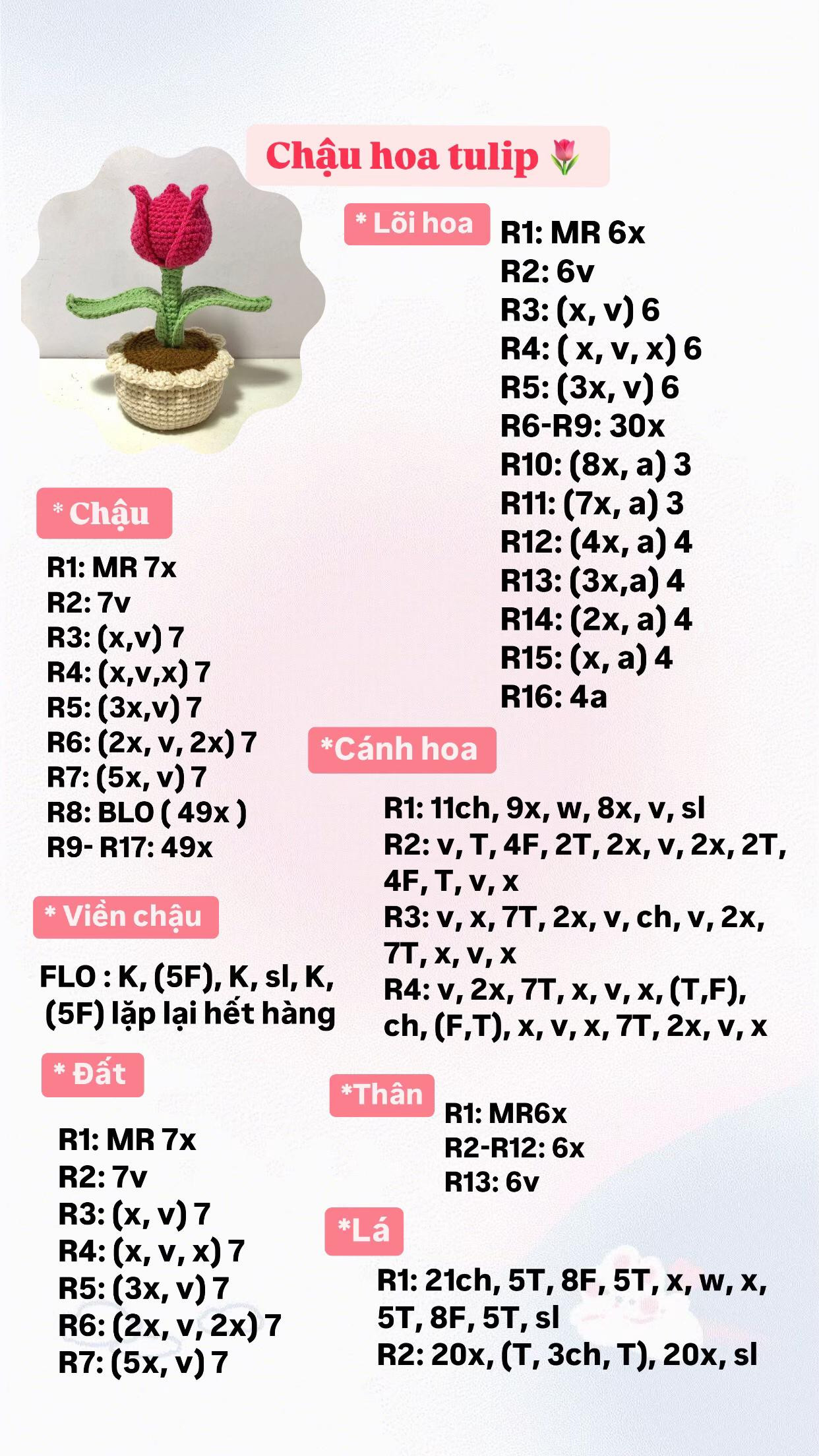 chậu hoa tulip, chậu hoa hướng dương, chậu lan sao hỏa