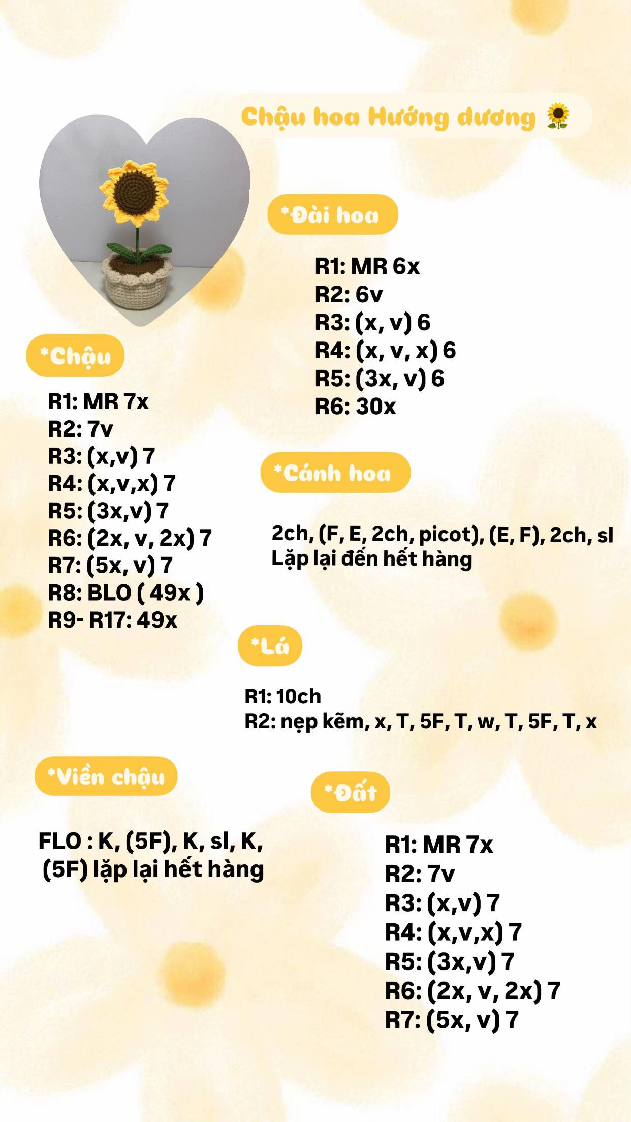 chậu hoa tulip, chậu hoa hướng dương, chậu lan sao hỏa