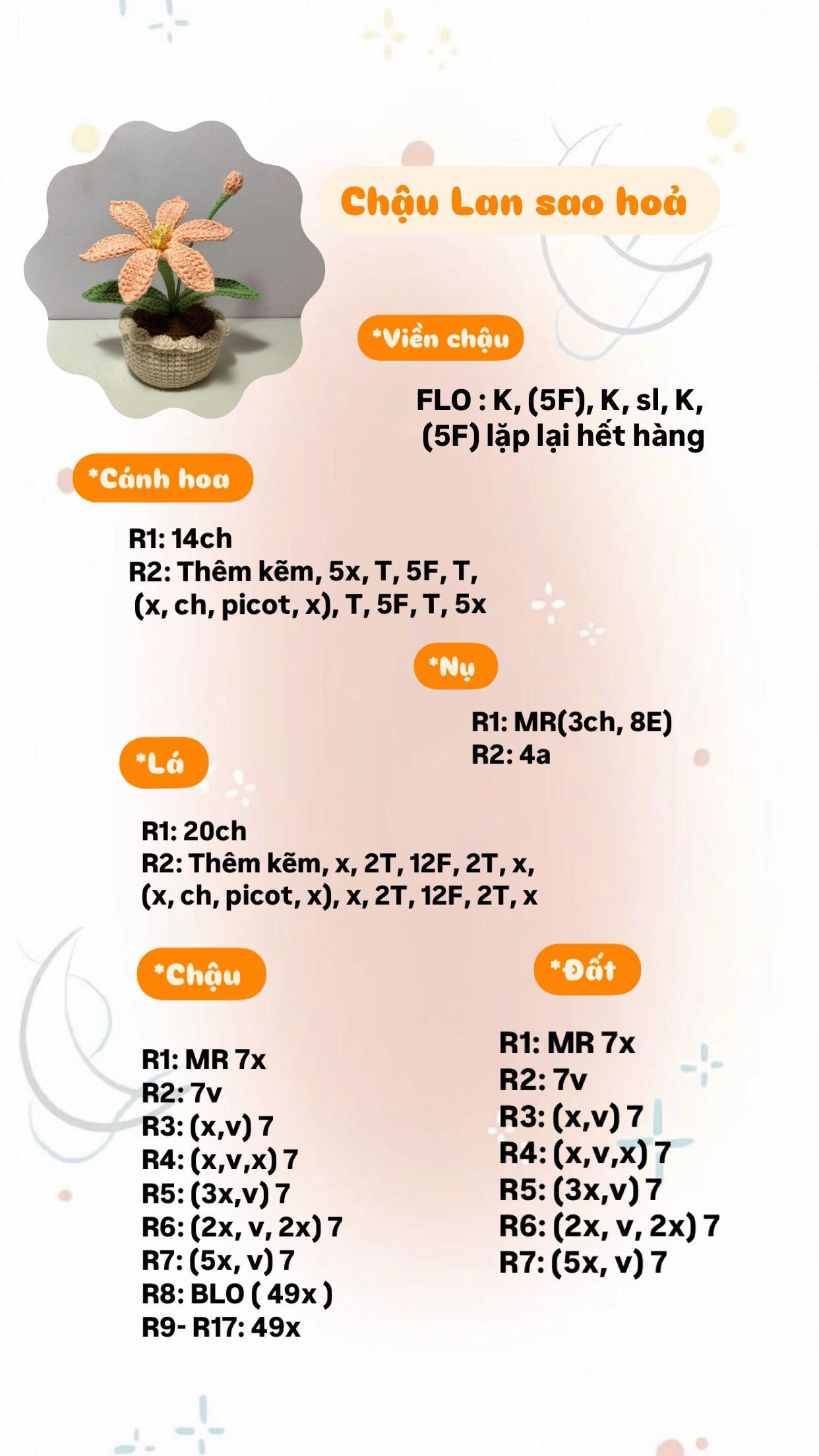 chậu hoa tulip, chậu hoa hướng dương, chậu lan sao hỏa