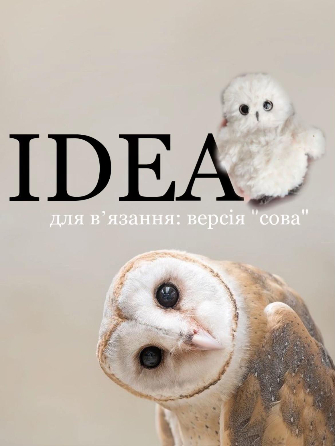 Изучите схему вязания: милый совенок своими руками