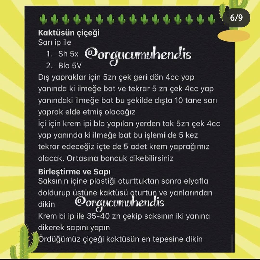 Kaktüs Çocuk Amigurumi Şeması