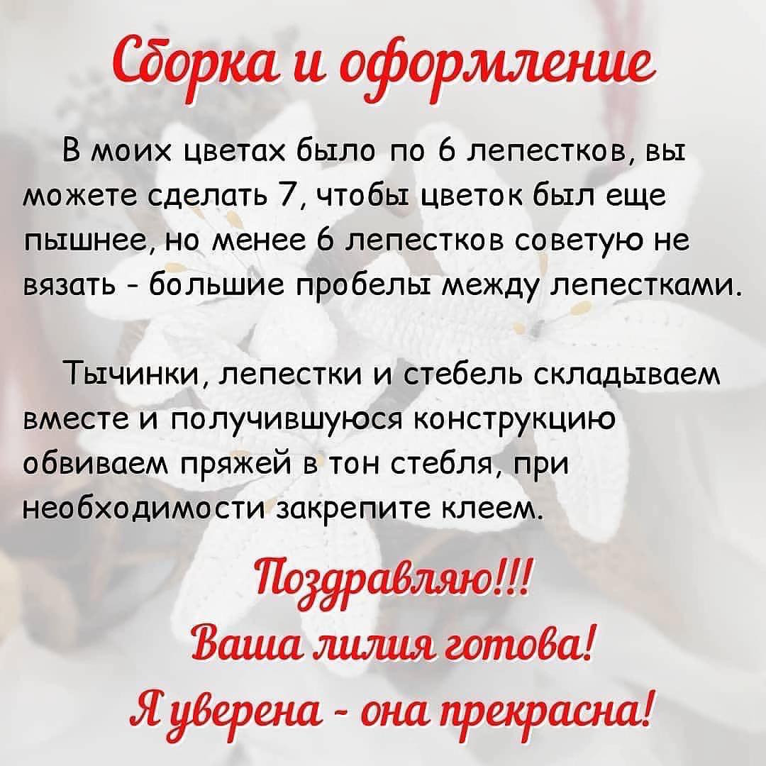Лилия: Бесплатный мастер-класс по вязанию крючком от DreamToys.by