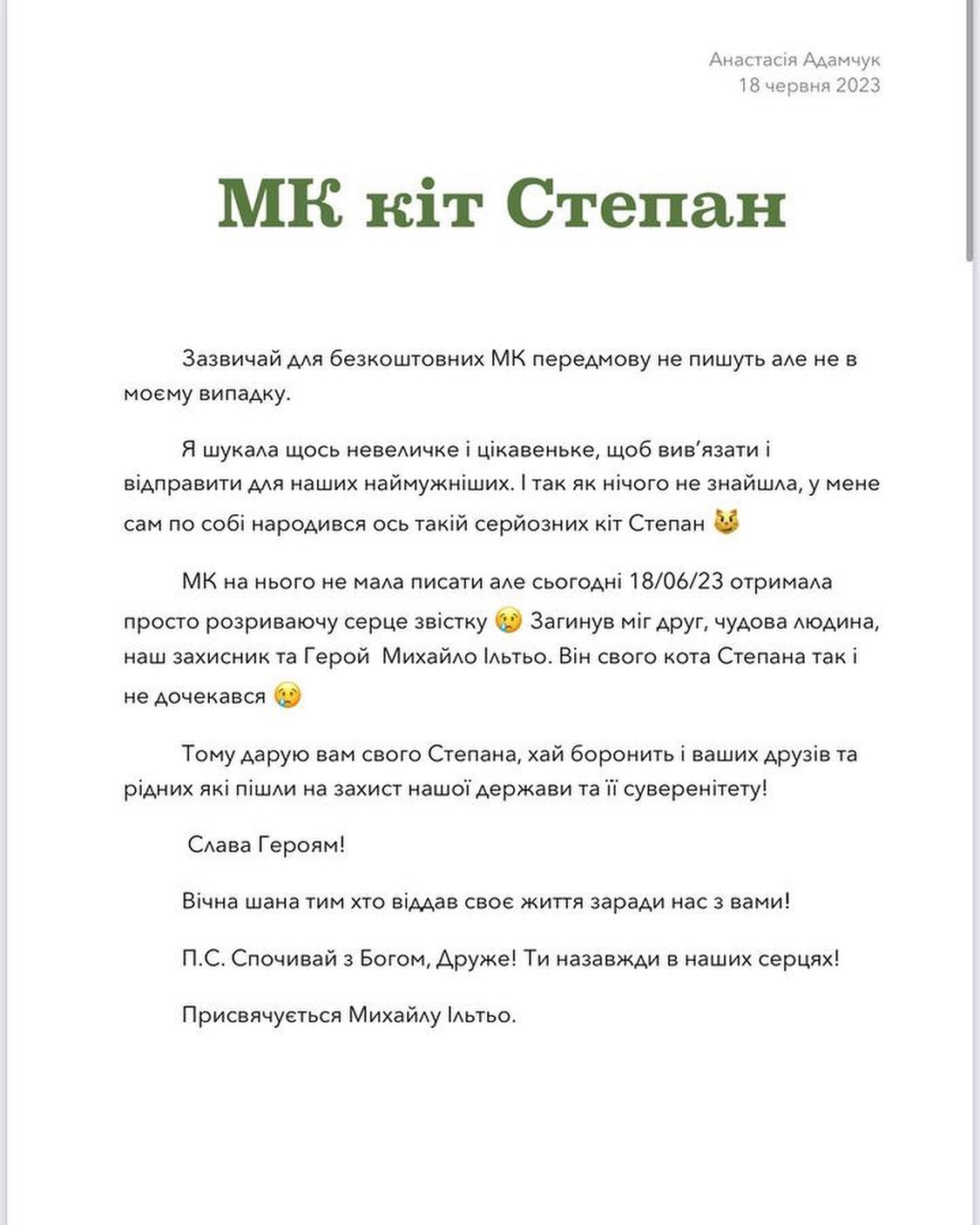 МК: В’язані котики Степан