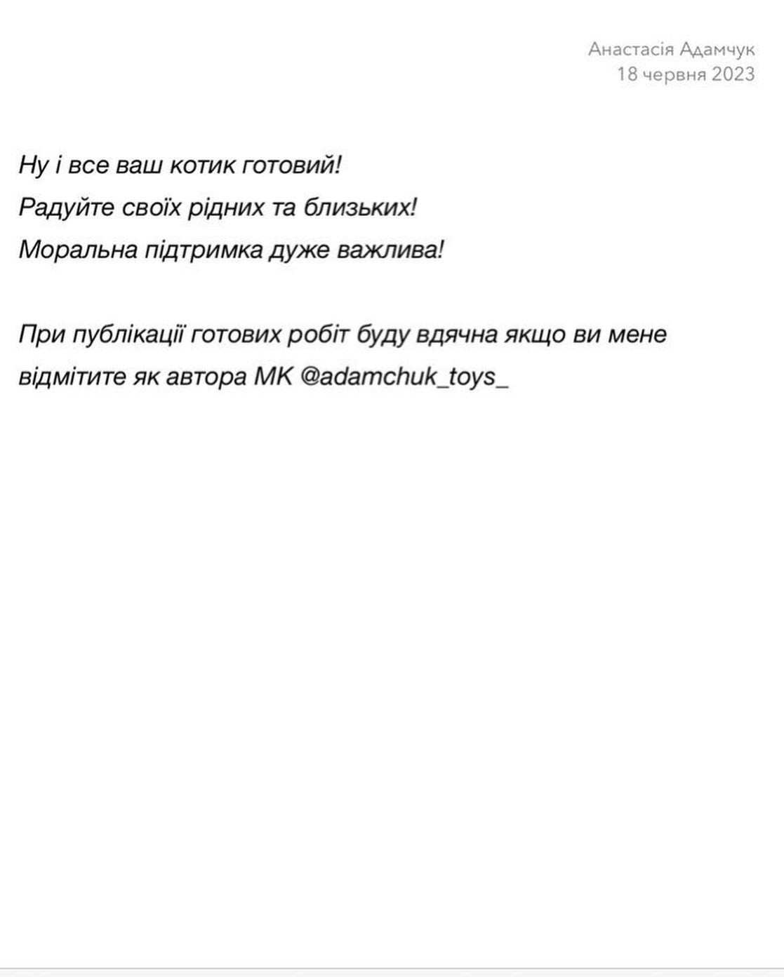 МК: В’язані котики Степан