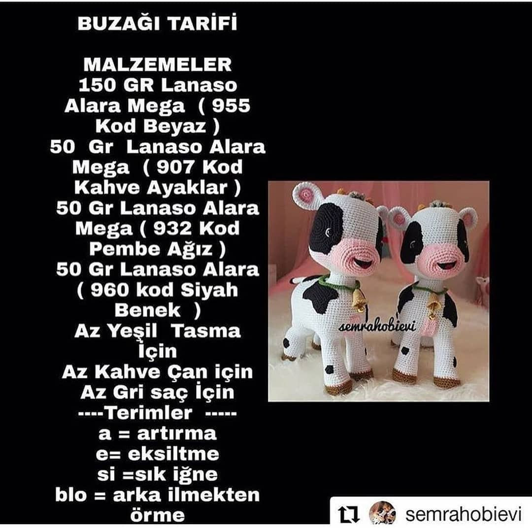 Örme İnek Şeması