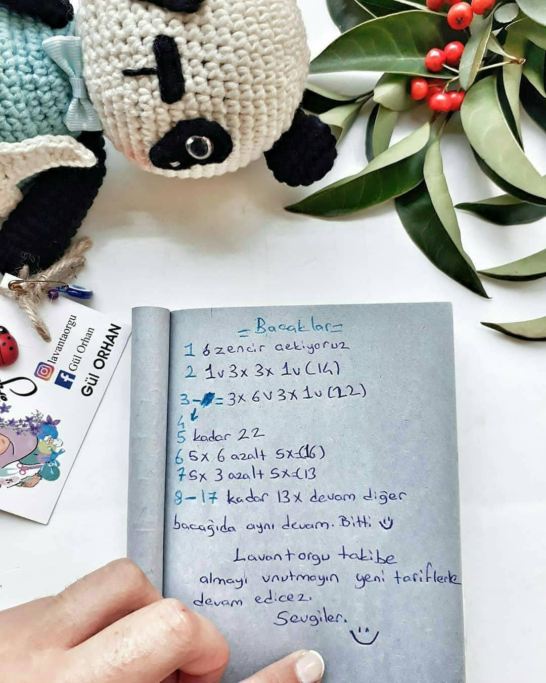 Pandalı Amigurumi Tığ İşi Şeması
