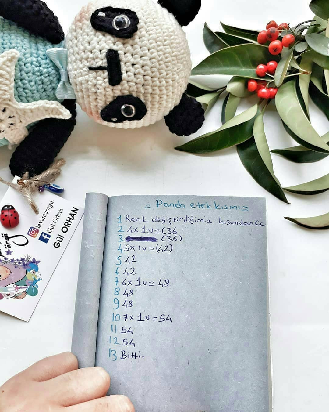 Pandalı Amigurumi Tığ İşi Şeması
