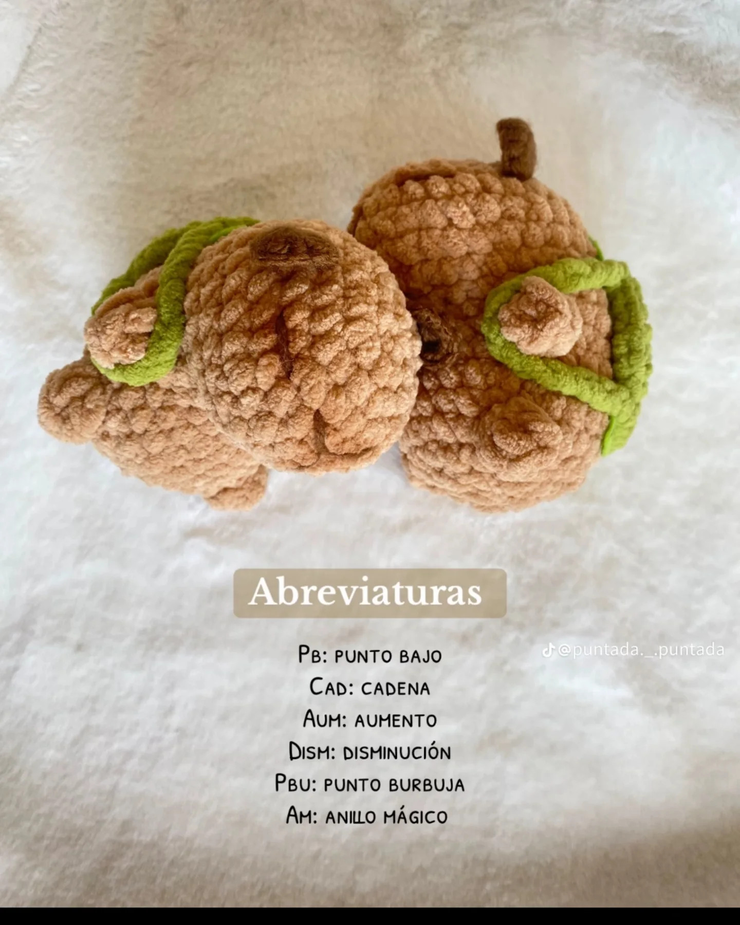 PATRÓN AMIGURUMI CAPIBARA