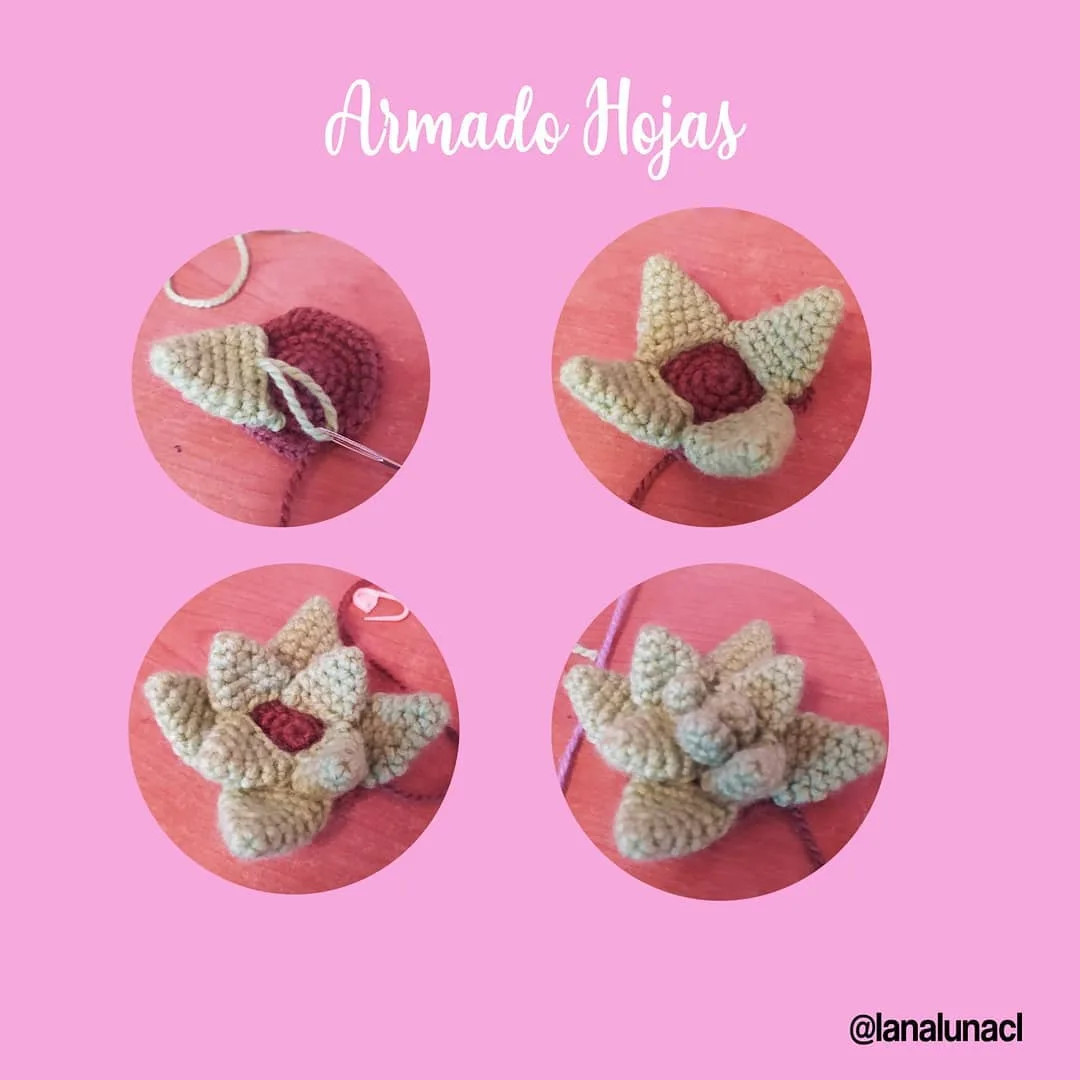 Patrón gratuito: Suculentas amigurumi tejidas a crochet