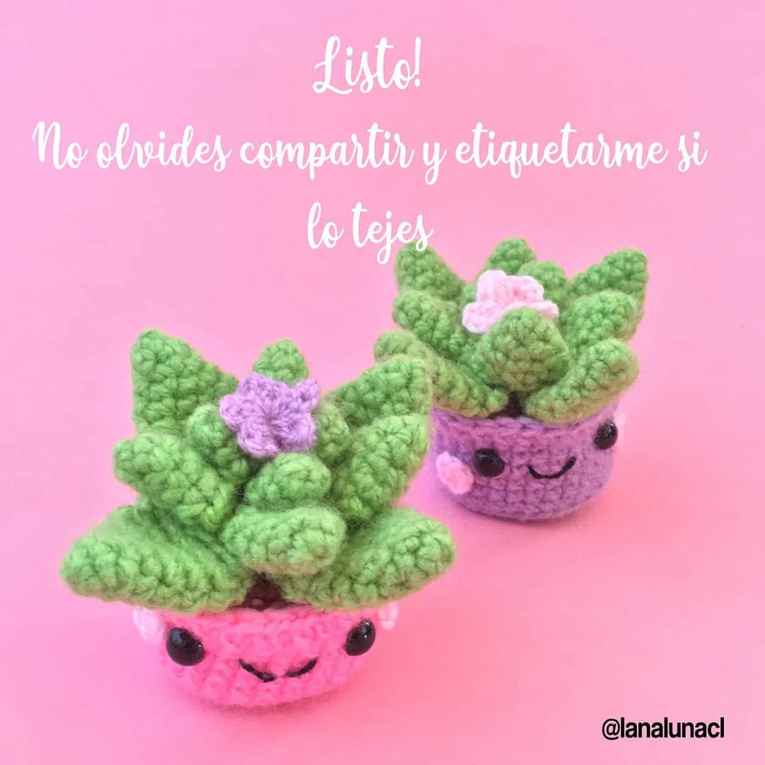 Patrón gratuito: Suculentas amigurumi tejidas a crochet