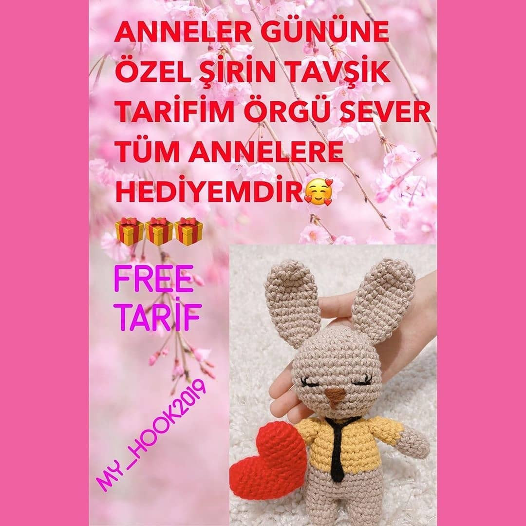 Sevimli Örgü Tavşan Şeması