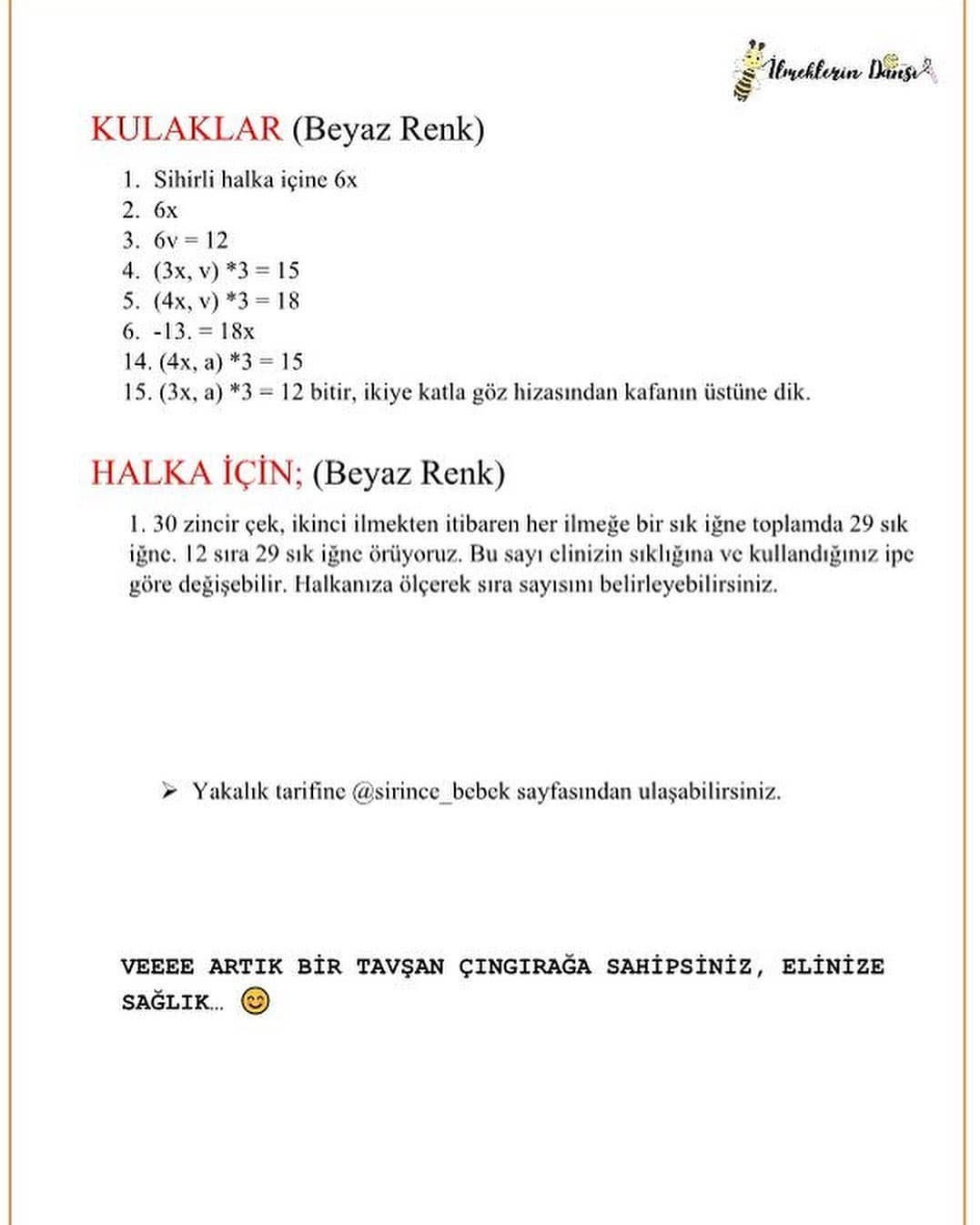 TAVŞAN ÇINGIRAK ÖRNEK ŞEMASI