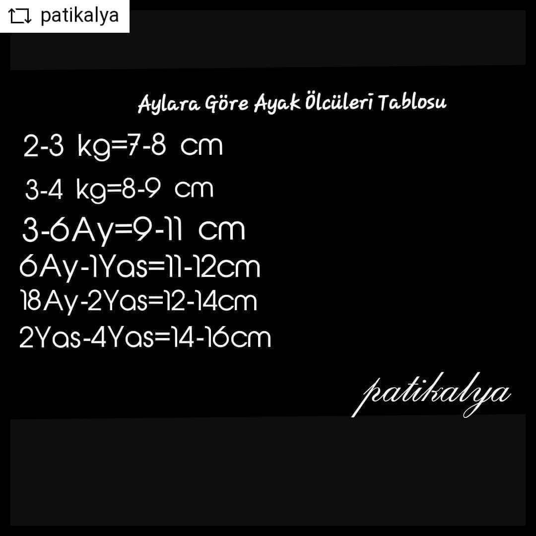 Tüm detaylarıyla köpek patik modeli