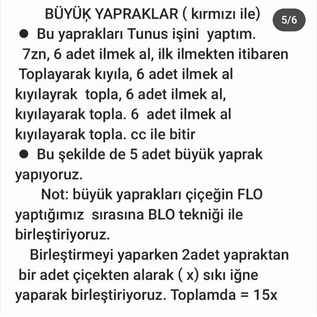 Türkçe: