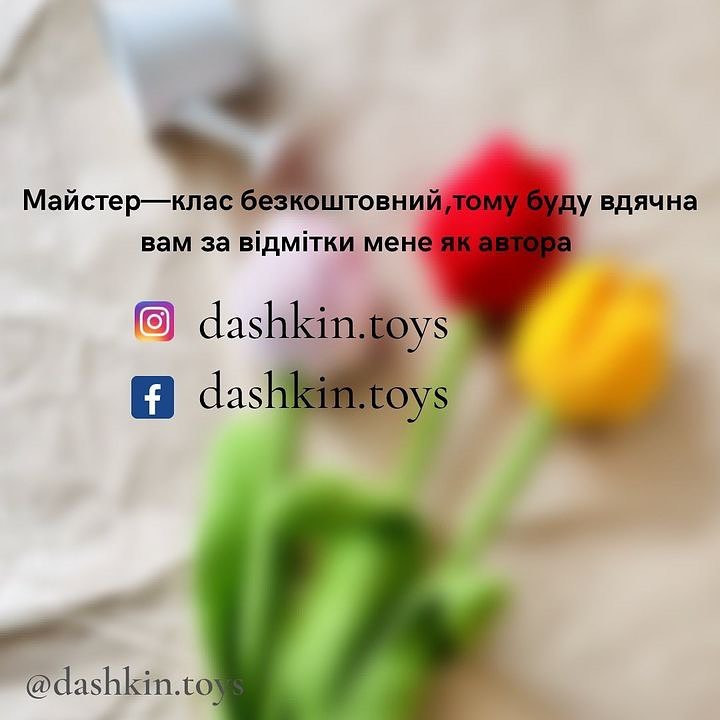 Тюльпани: безкоштовний опис схеми