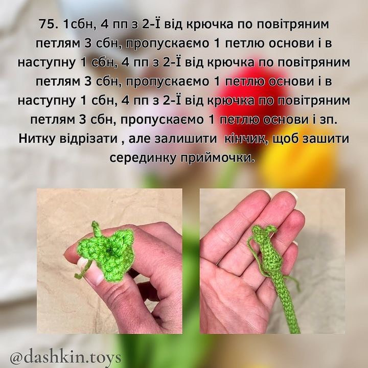 Тюльпани: безкоштовний опис схеми