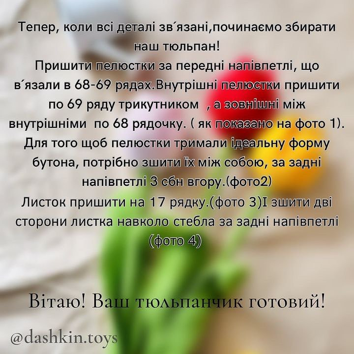 Тюльпани: безкоштовний опис схеми