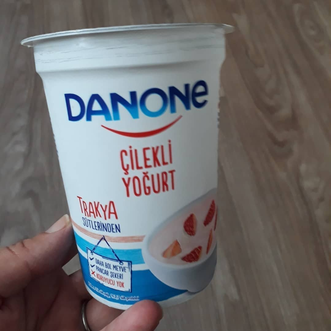 Ücretsiz Zürafa Kalemlik Yapımı