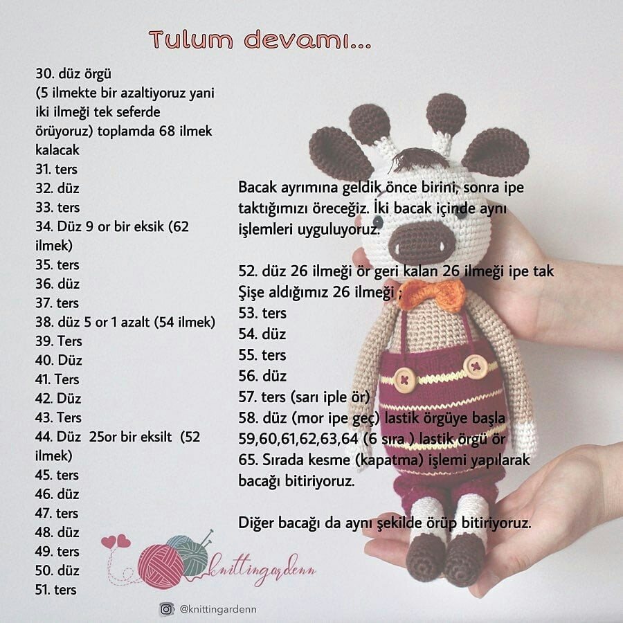 Zürafacan: Ücretsiz Tığ İşi Şeması