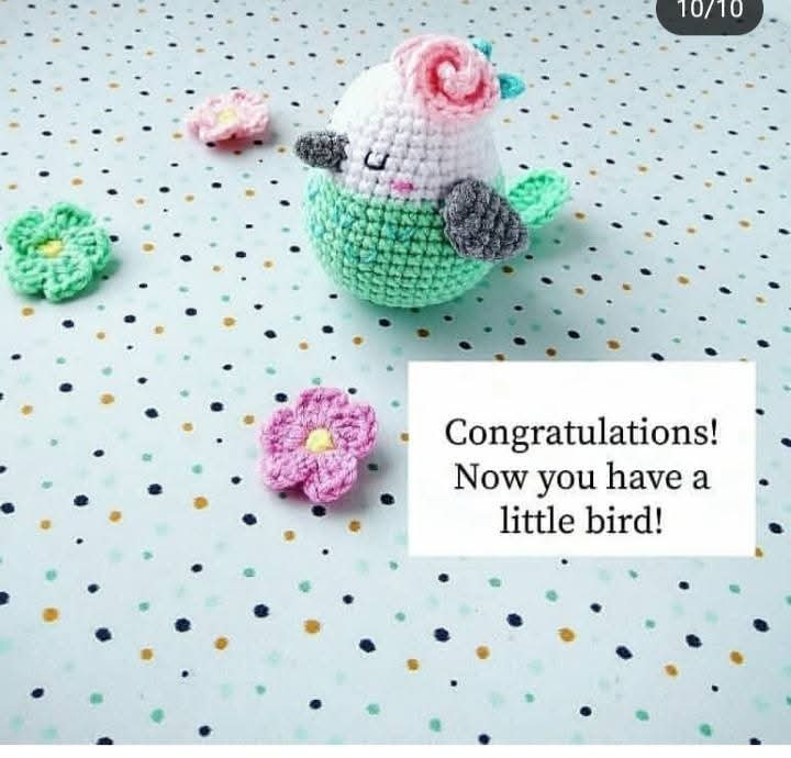 Adorable Crochet Bird Pattern: Free Tutorial Part 1