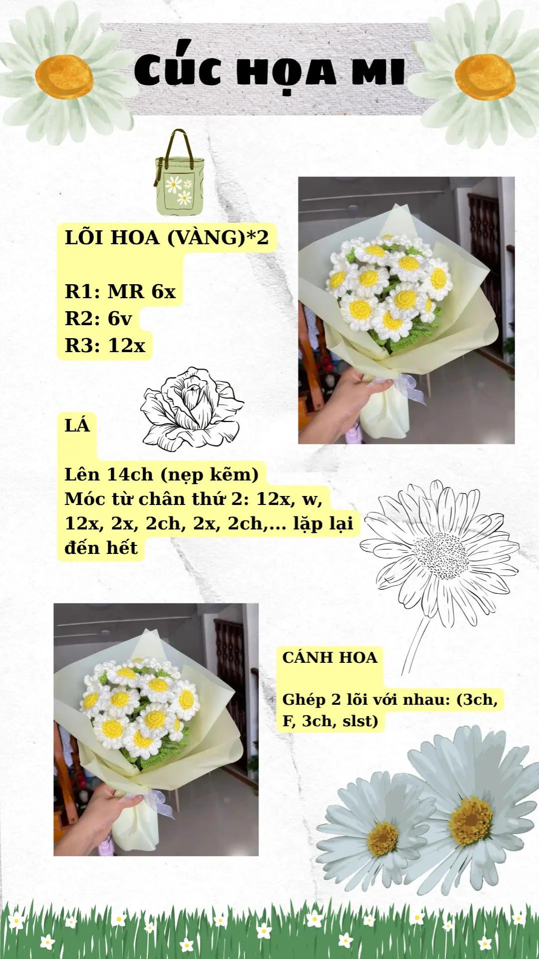 bó hoa, cúc họa mi, hoa tulip cánh, hoa sen