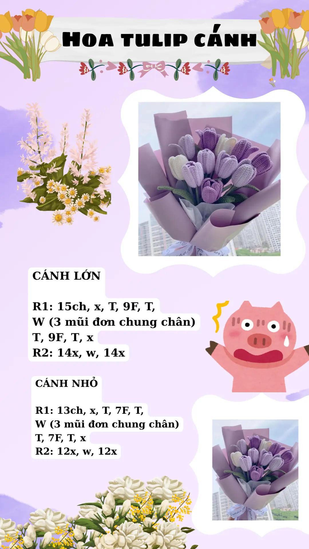 bó hoa, cúc họa mi, hoa tulip cánh, hoa sen