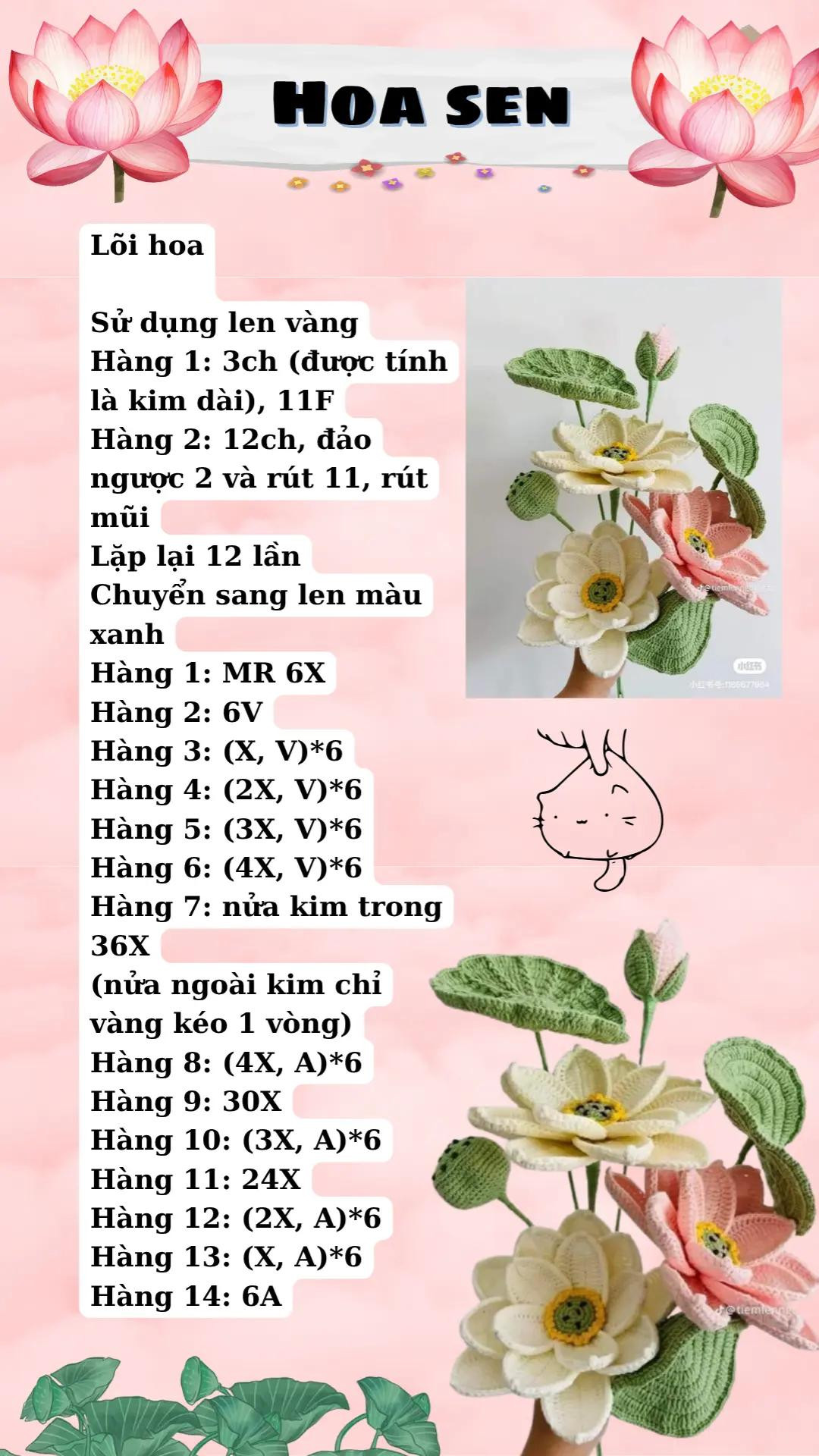 bó hoa, cúc họa mi, hoa tulip cánh, hoa sen
