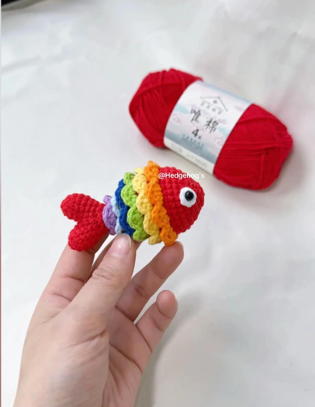 cá cầu máy hedgehog's