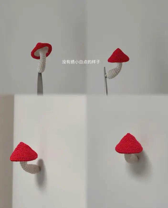 cây nấm