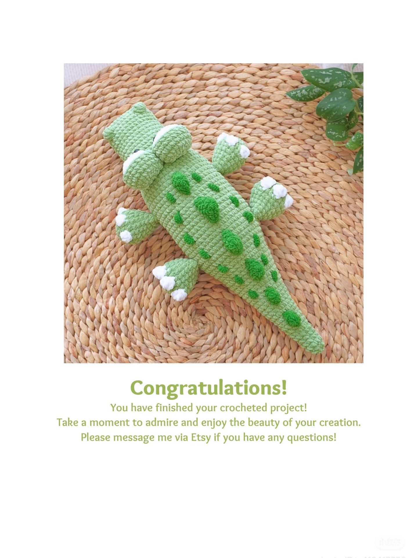 Charming Crochet Pattern for a Cute Chubby Crocodile