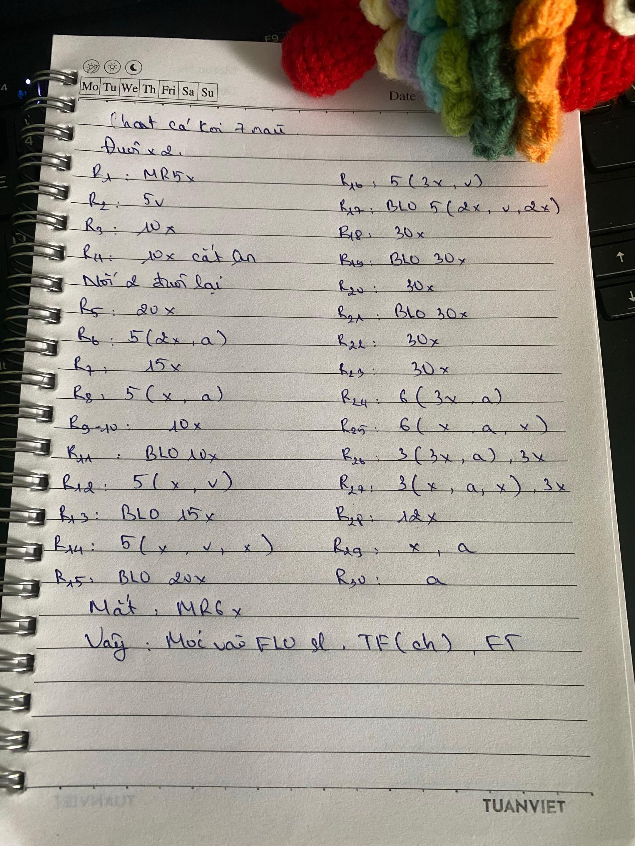 chart cá koi 7 màu