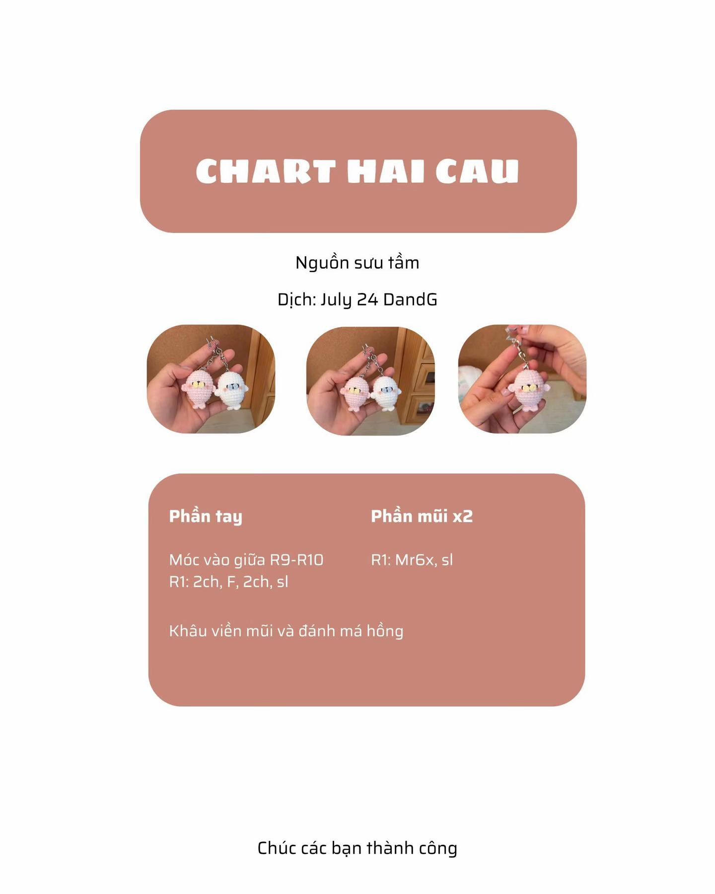 chart hải cẩu