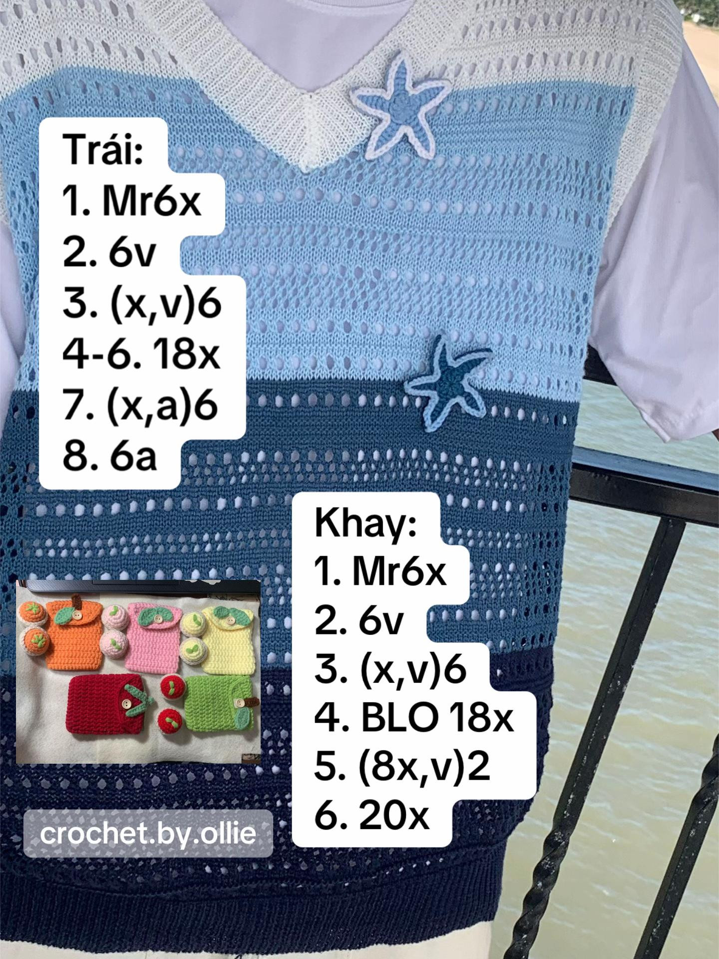 chart khay 1 trái cây