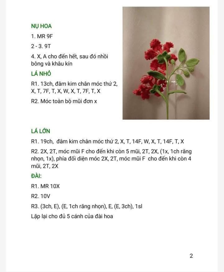chart móc hoa phượng đỏ