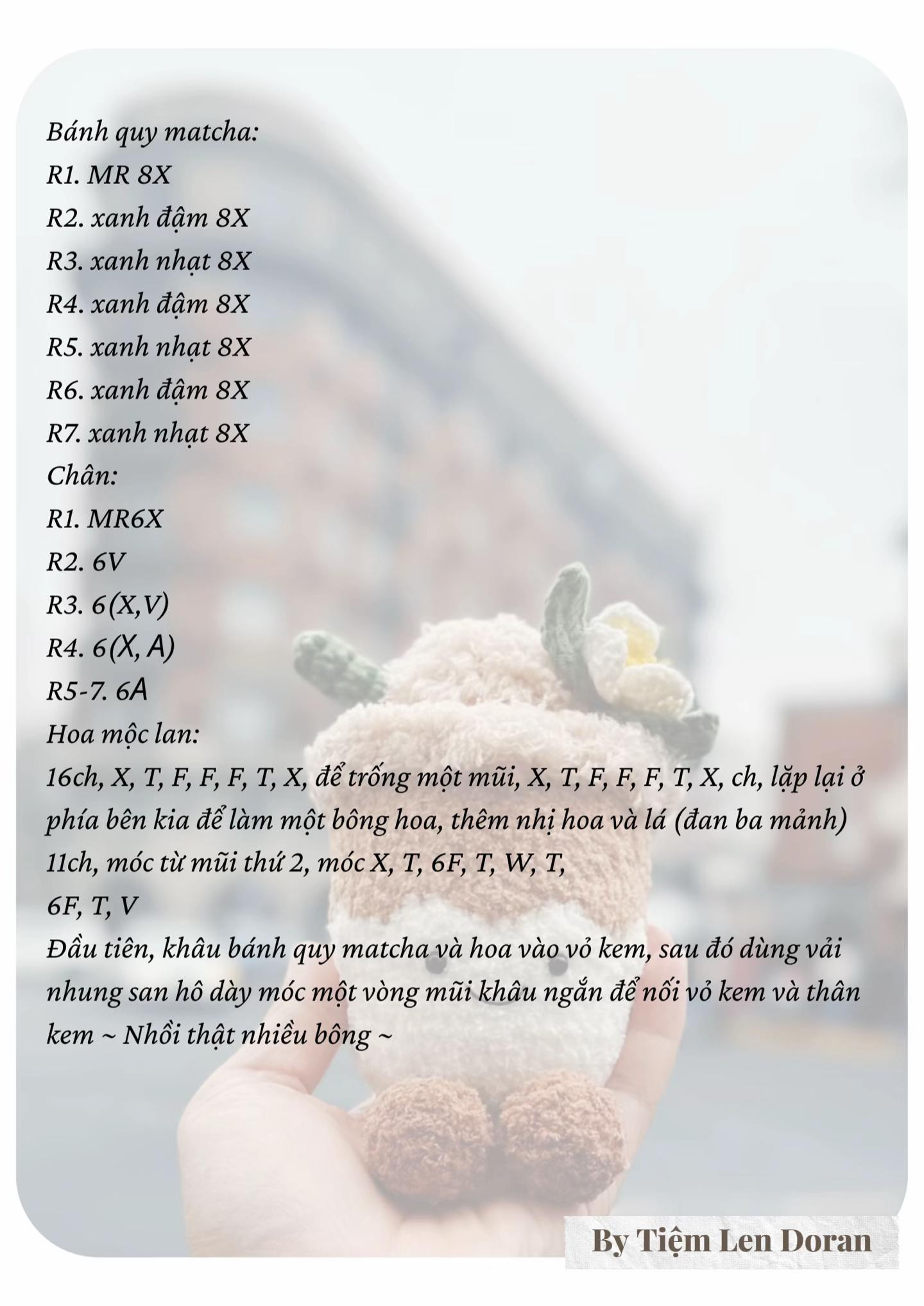 chart móc latte hoa mộc lan