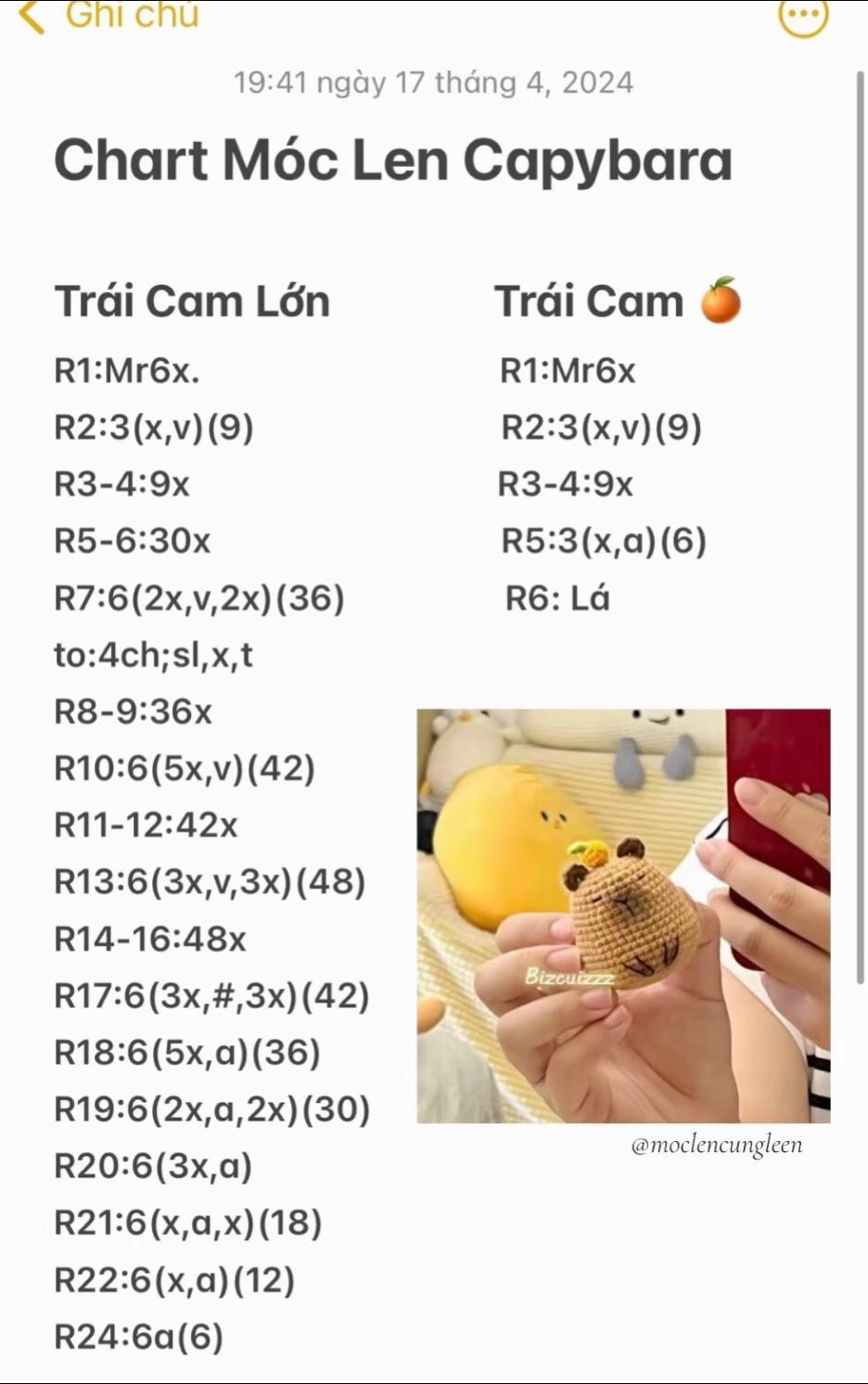 chart móc len capybara len