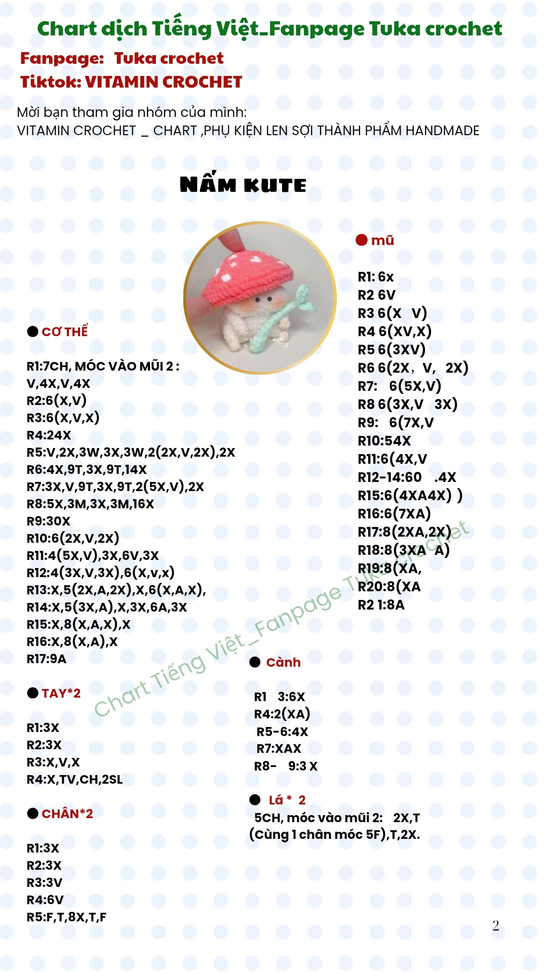 chart móc nấm kute