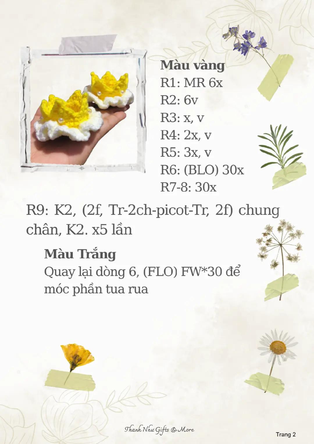 chart móc vương miệng