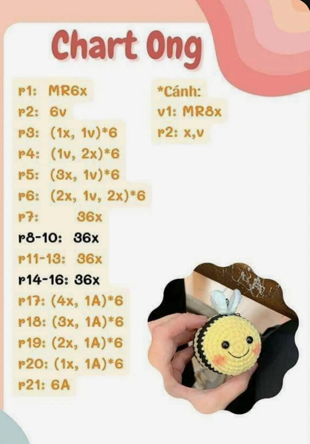 chart ong