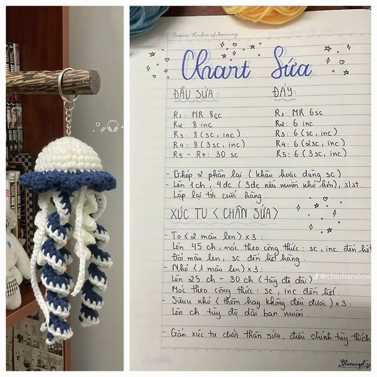 chart sứa
