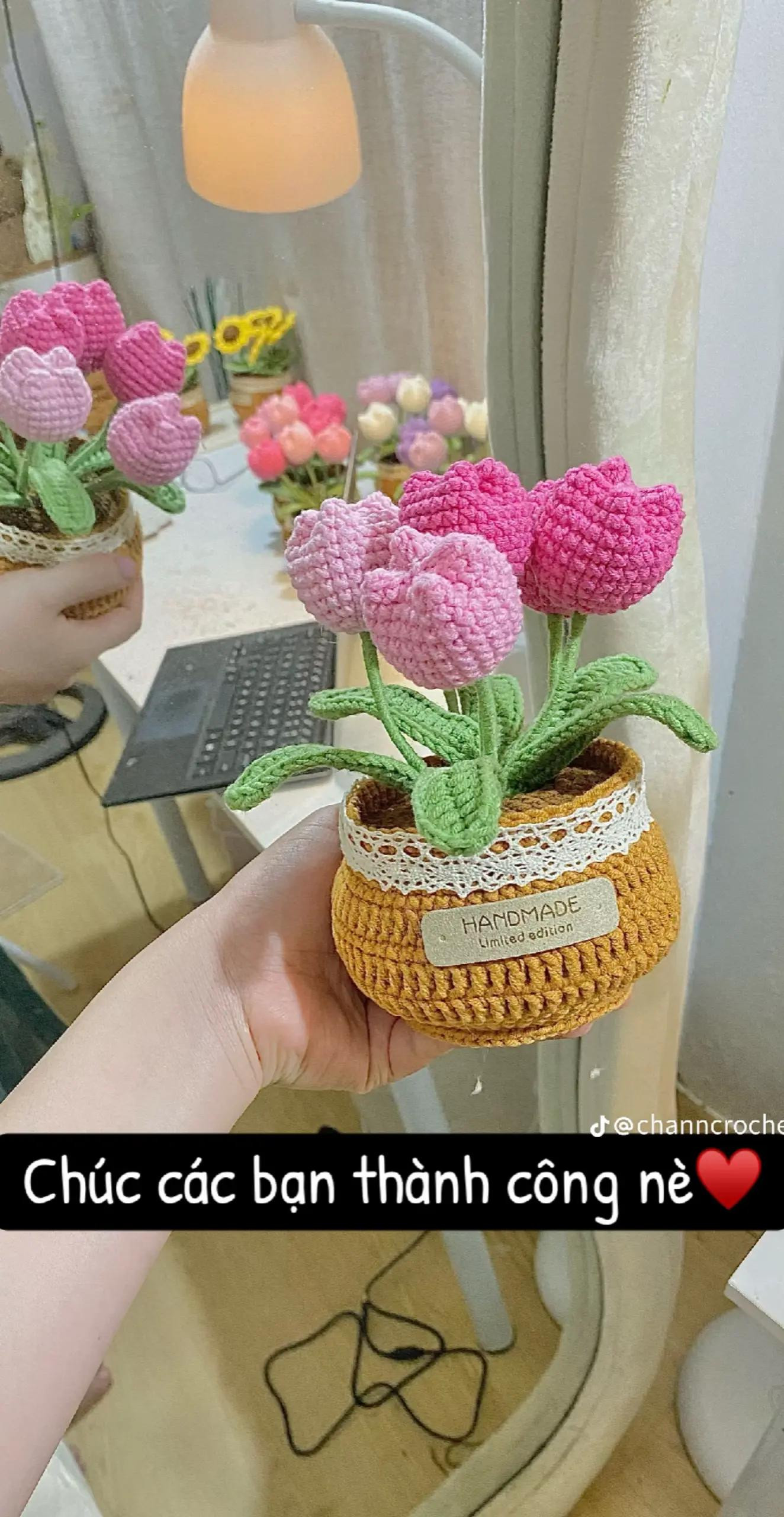 Chậu hoa tulip móc len đầy sắc màu cho góc nhà thêm xinh