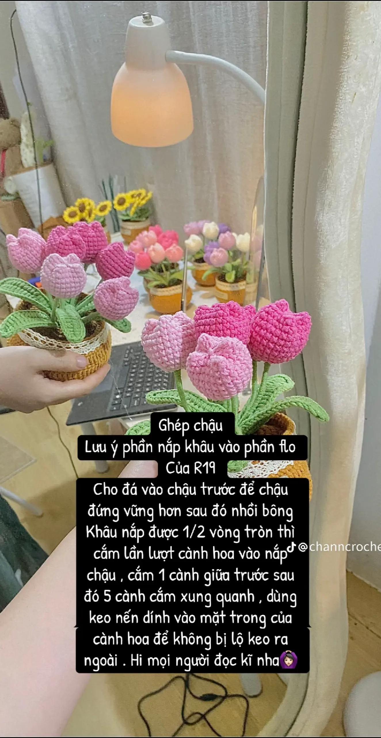 Chậu hoa tulip móc len đầy sắc màu cho góc nhà thêm xinh