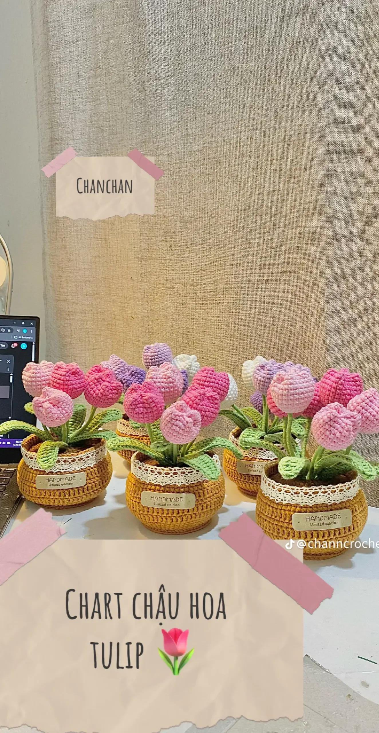 Chậu hoa tulip móc len đầy sắc màu cho góc nhà thêm xinh