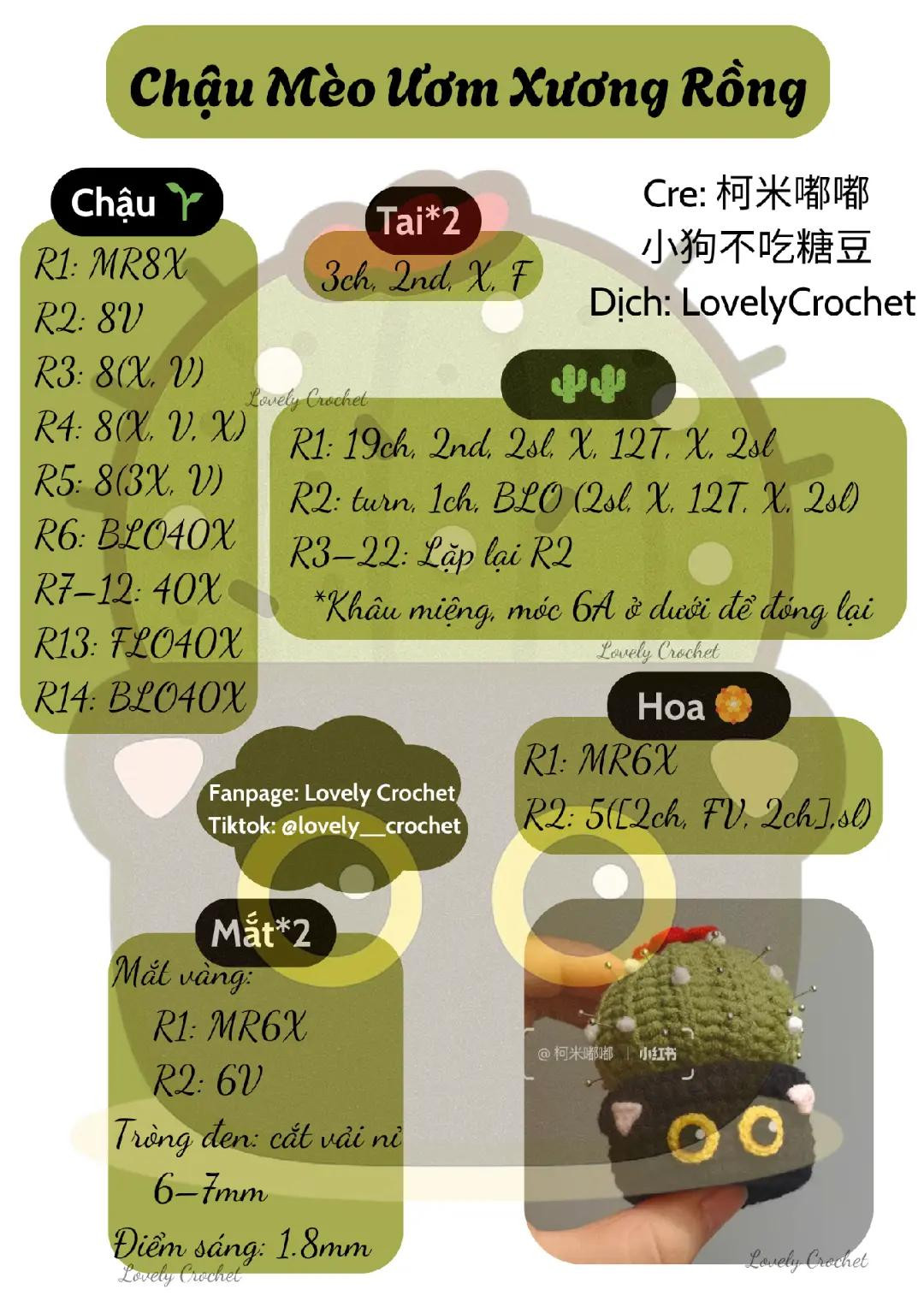 🐱 Chậu Mèo Ươm Xương Rồng 🌵